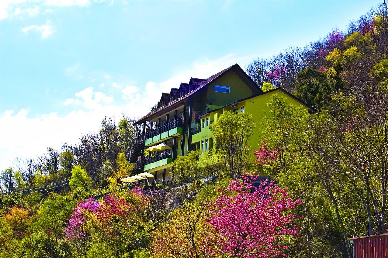 Sunnydale B&B Renai Buitenkant foto